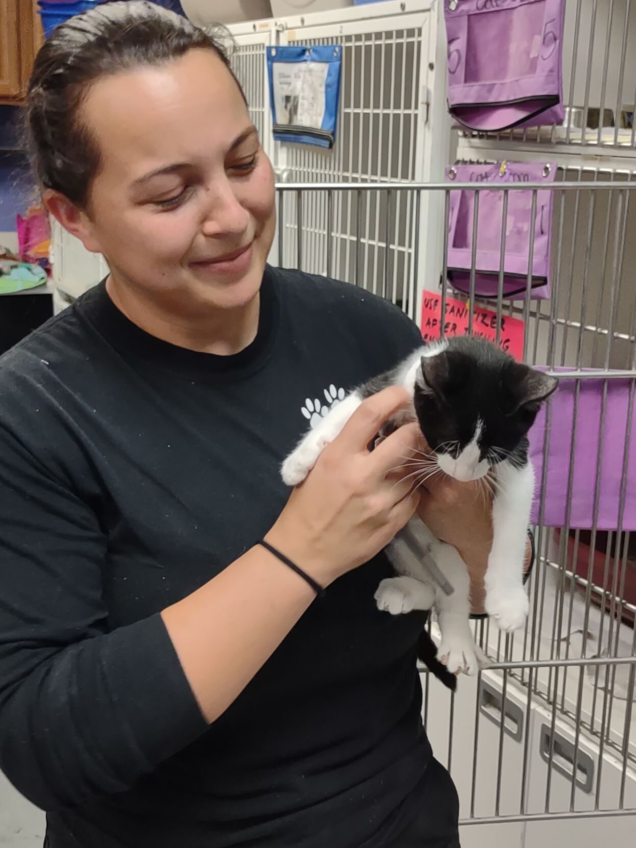 Animal Shelter Katrina Rodrigues